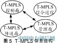 F(xin)IP over WDMW(wng)j(lu)ĽQ